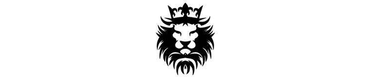 Brave Jiu-Jitsu logo