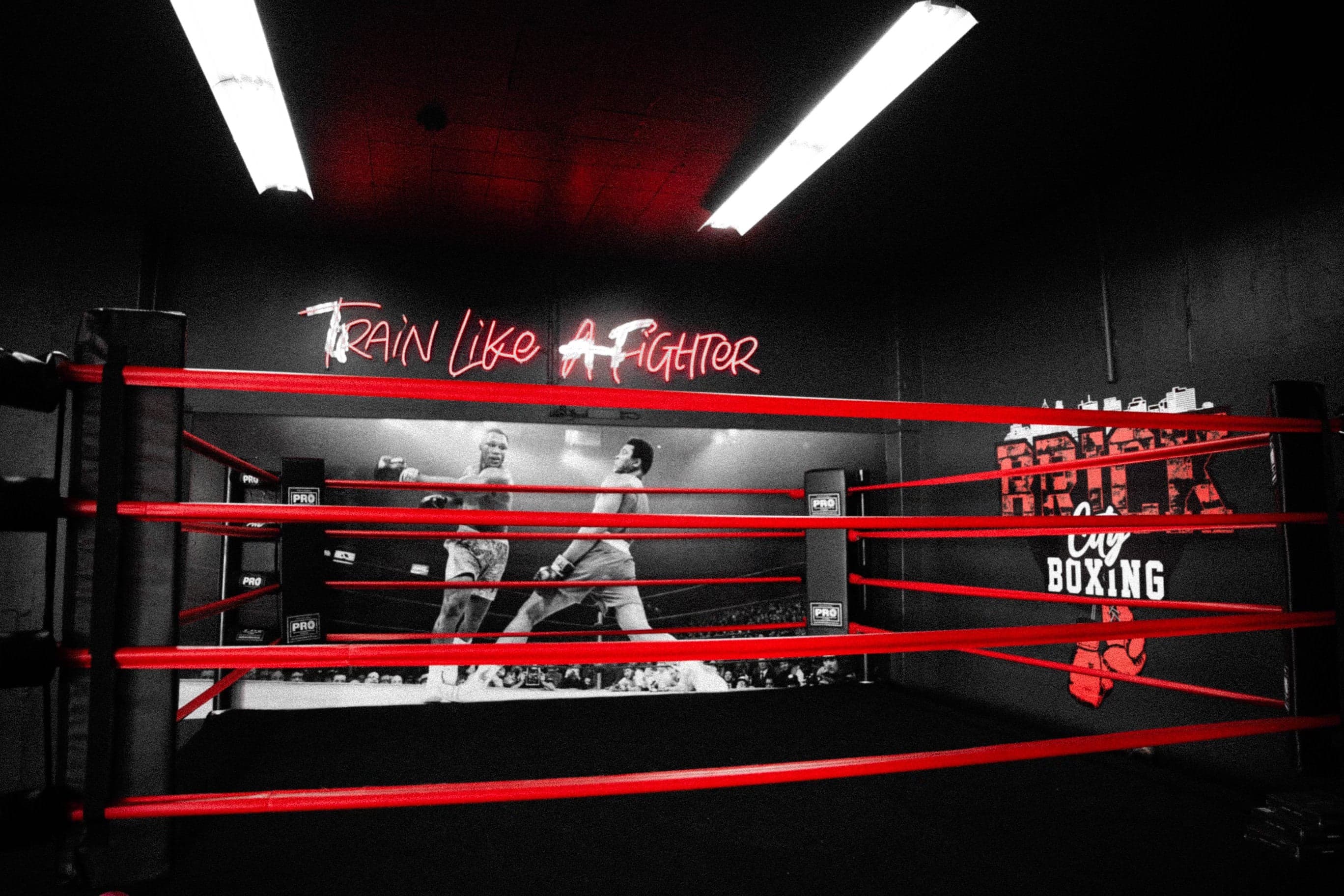Brick City Boxing LA logo