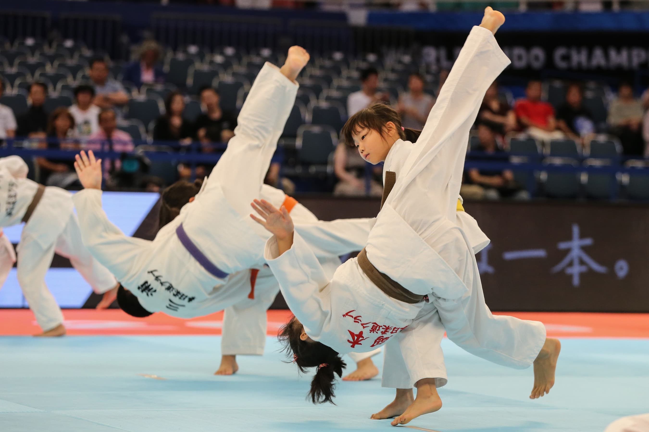 Main image of Bronx Judo and Martial Arts