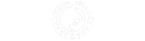 Bronx Martial Arts Academy logo