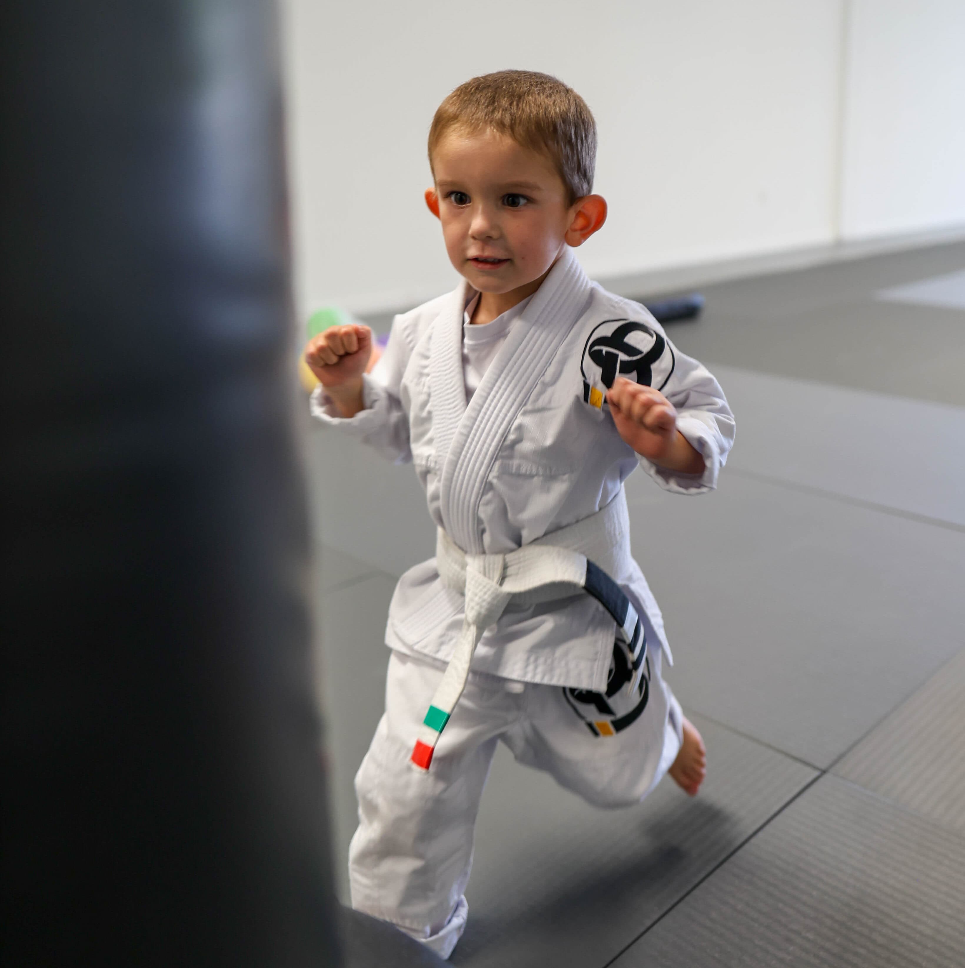 Main image of Budo Martial Arts
