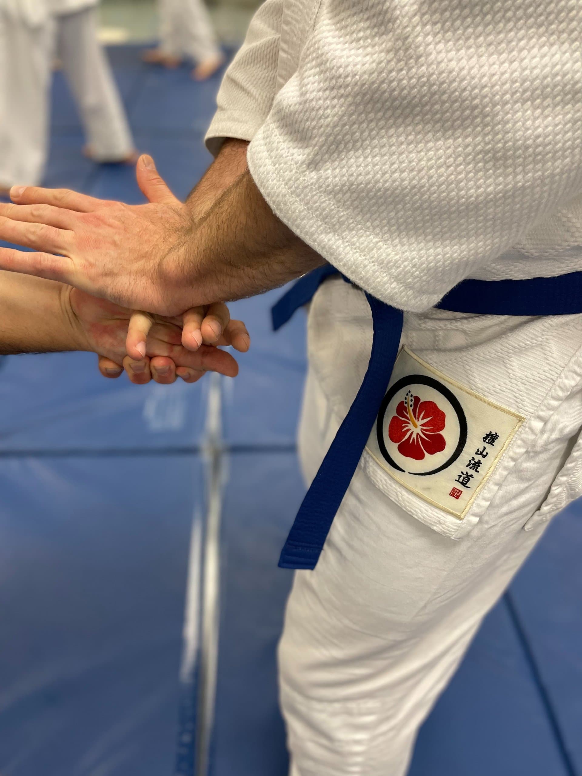 Burbank Danzan Dojo logo