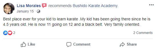 Main image of Bushido Karate Academy