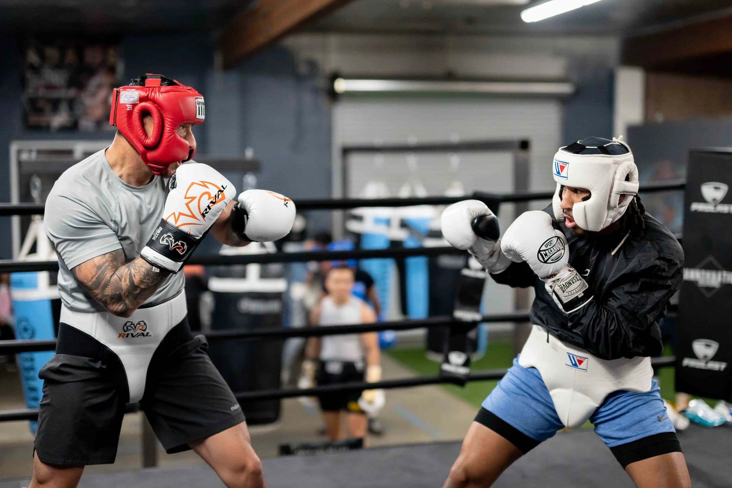 Main image of Cannonnation Boxing Gym