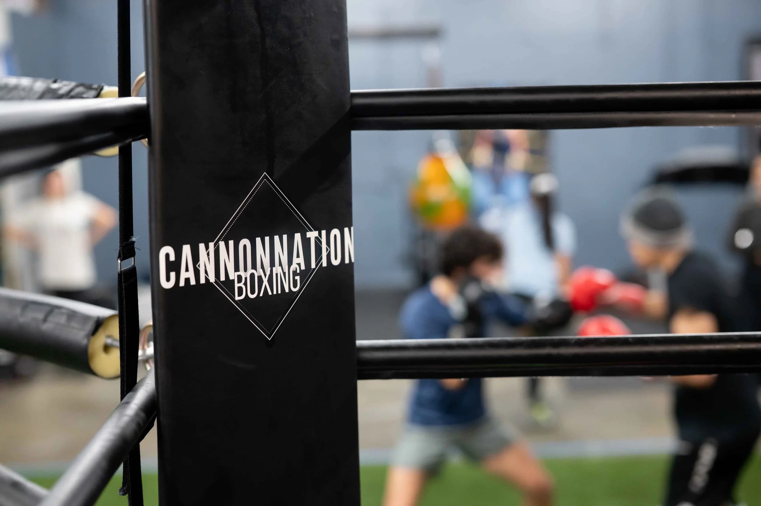 Cannonnation Boxing Gym logo