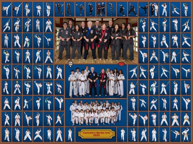 Main image of Cantrelle's Martial Arts
