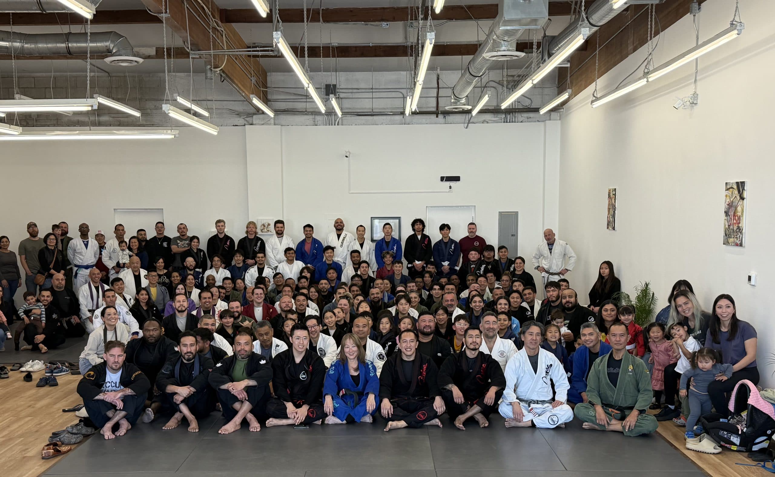 Main image of Canvas Brazilian Jiu Jitsu