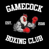 Main image of Carolina Boxing Club