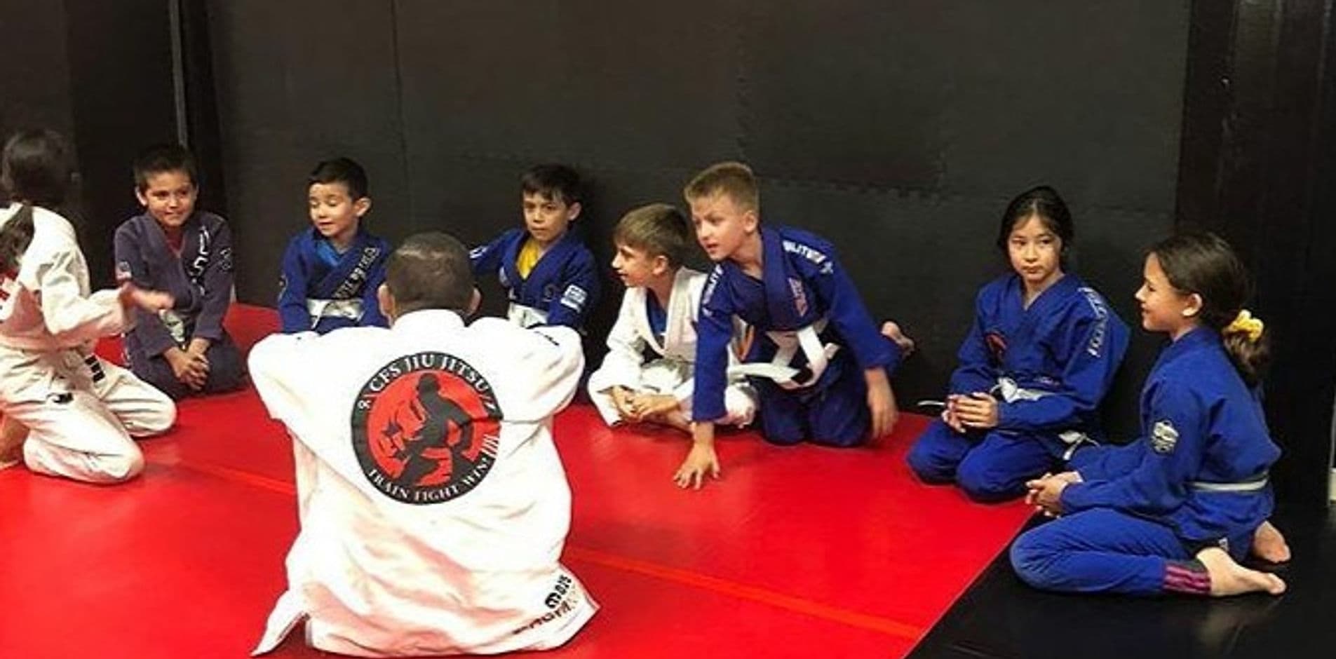 CFS Jiu Jitsu logo
