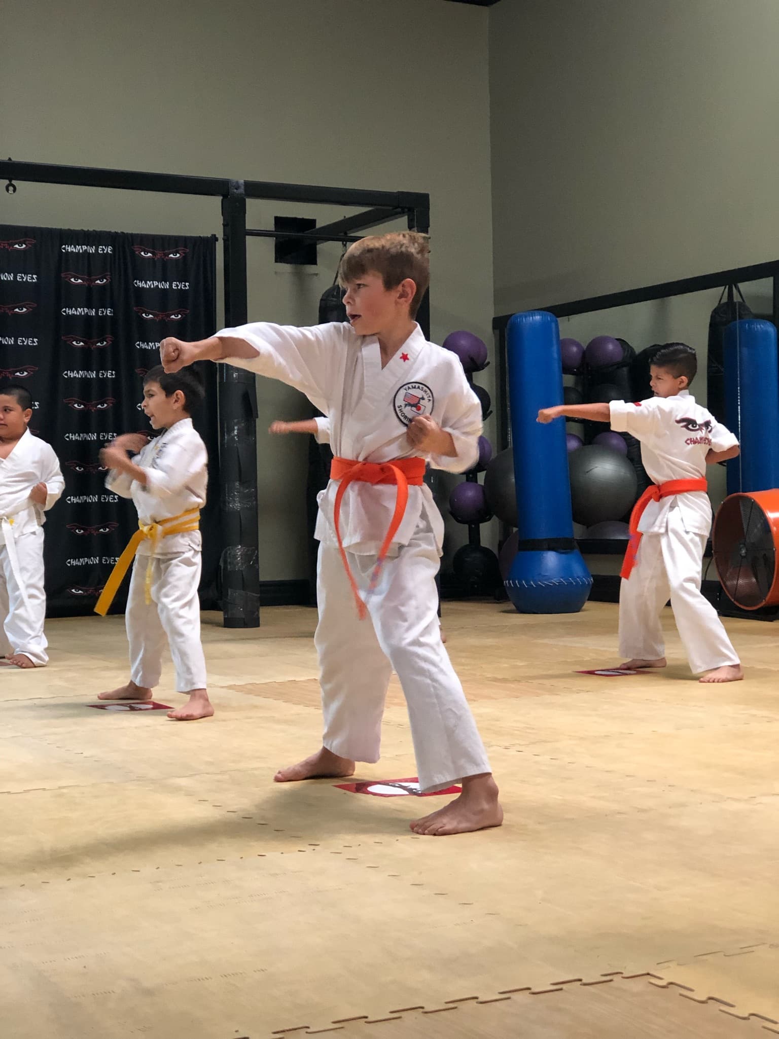 Main image of Champion Eyes Martial Arts