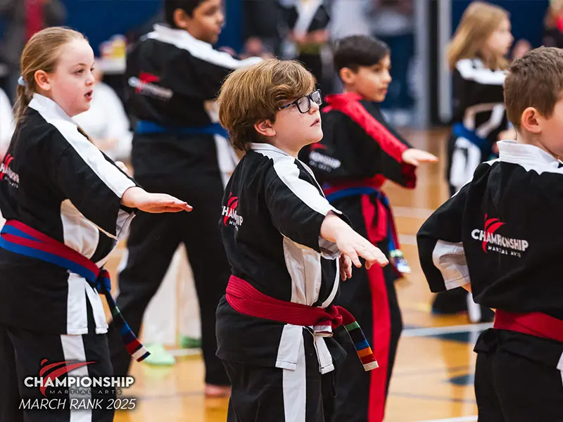 Main image of Championship Martial Arts 716