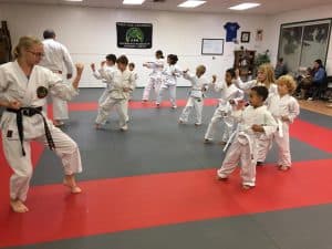 Main image of Chico Dojo