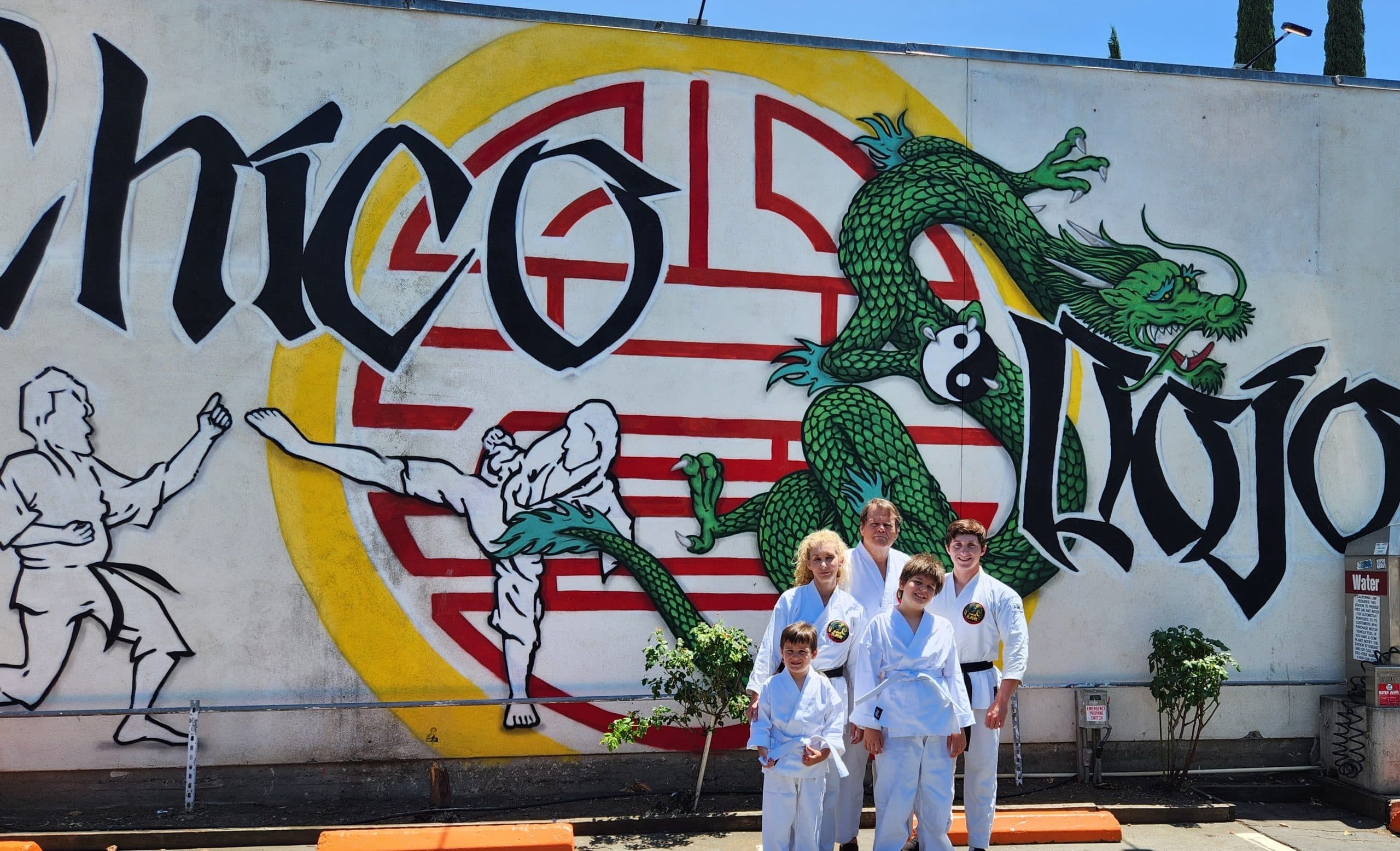 Chico Dojo logo