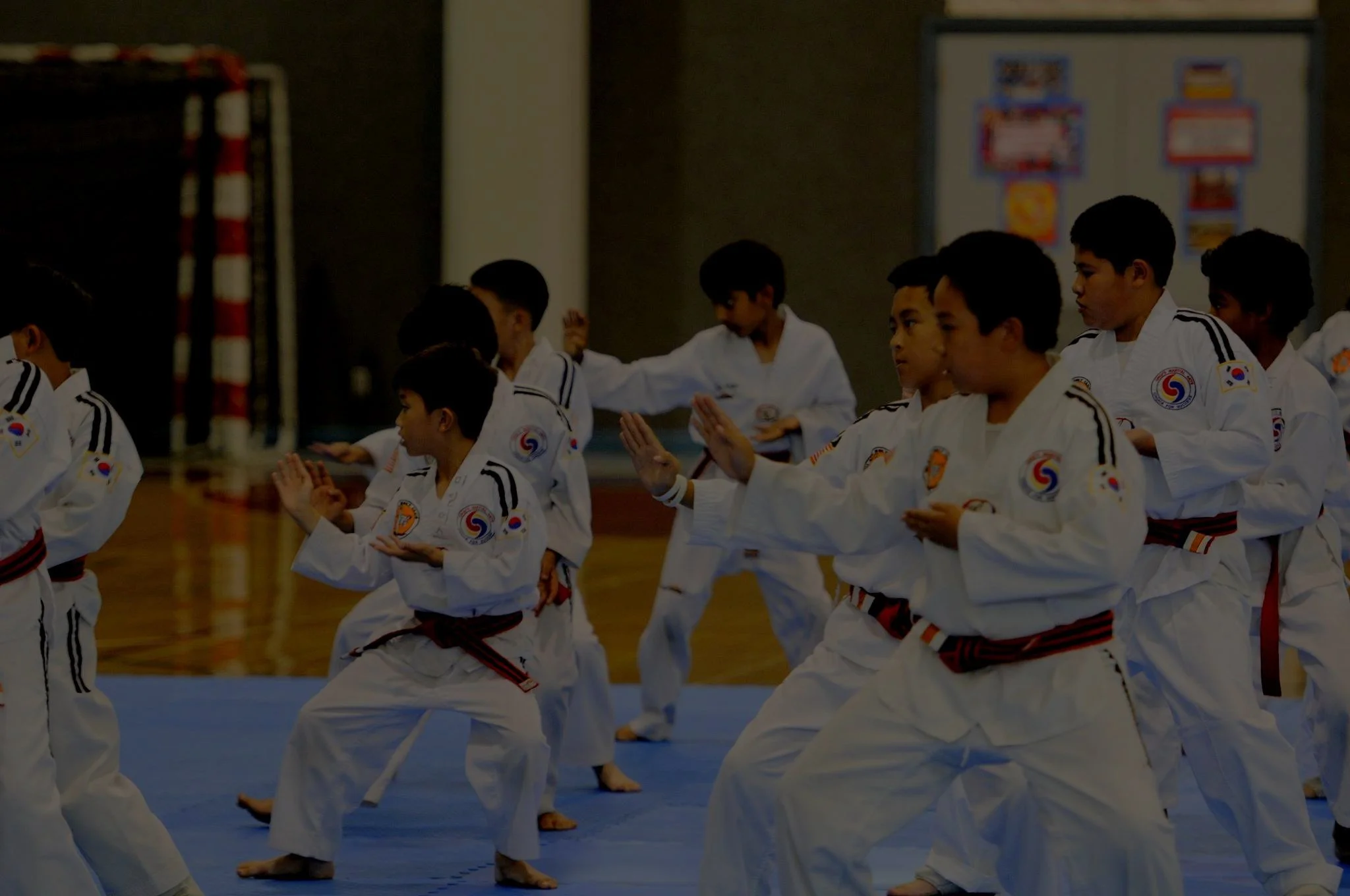 Main image of Choi's Martial Arts