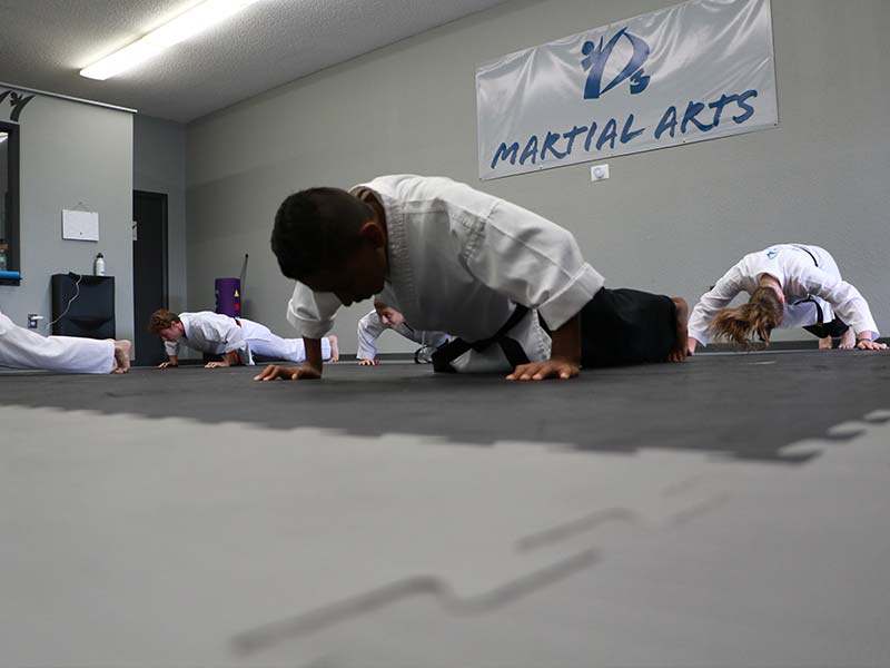 Main image of D3 Martial Arts