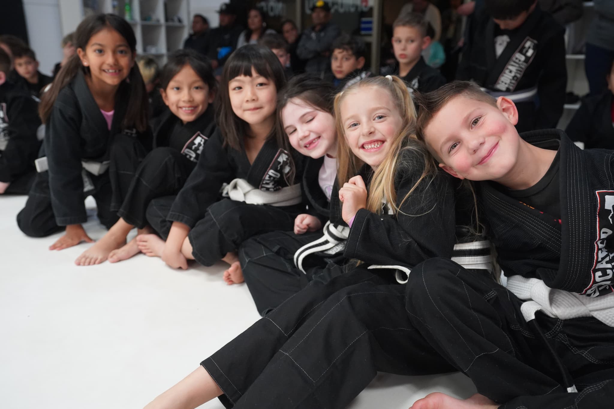 Main image of Dedicated jiu-jitsu