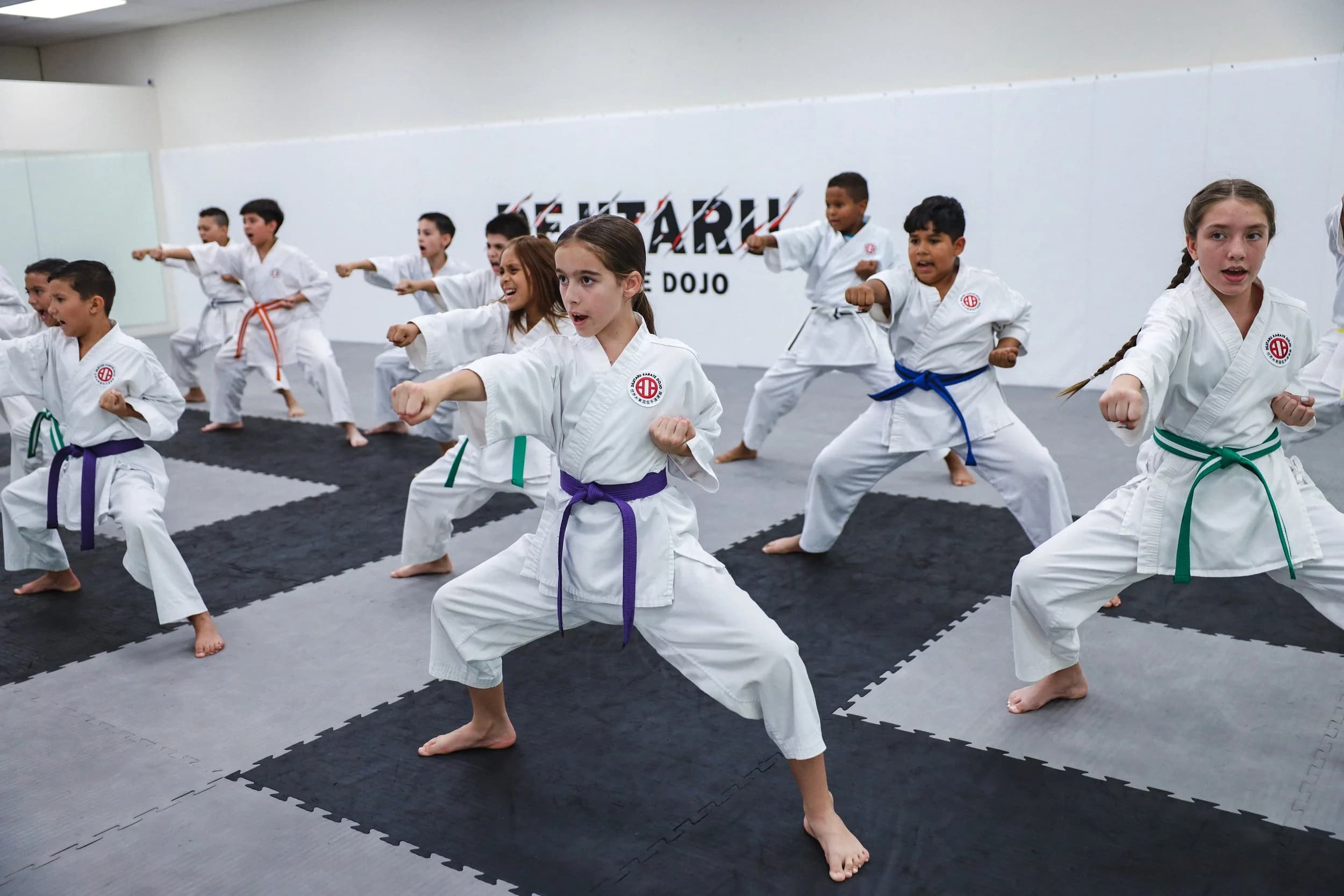 Main image of Dejitaru Karate Dojo