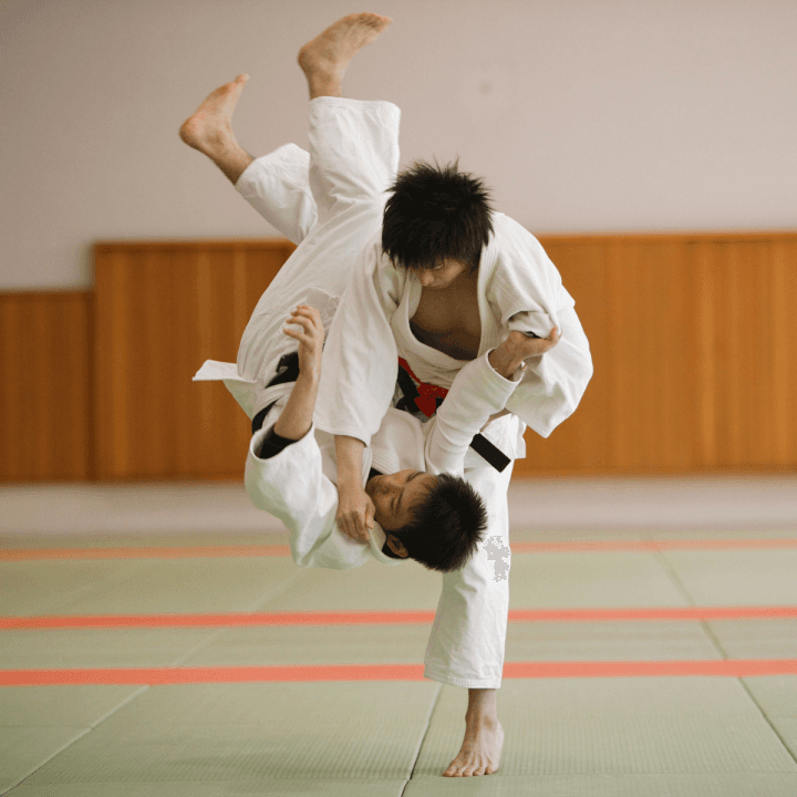 Doka Judo Jiu-Jitsu Academy logo