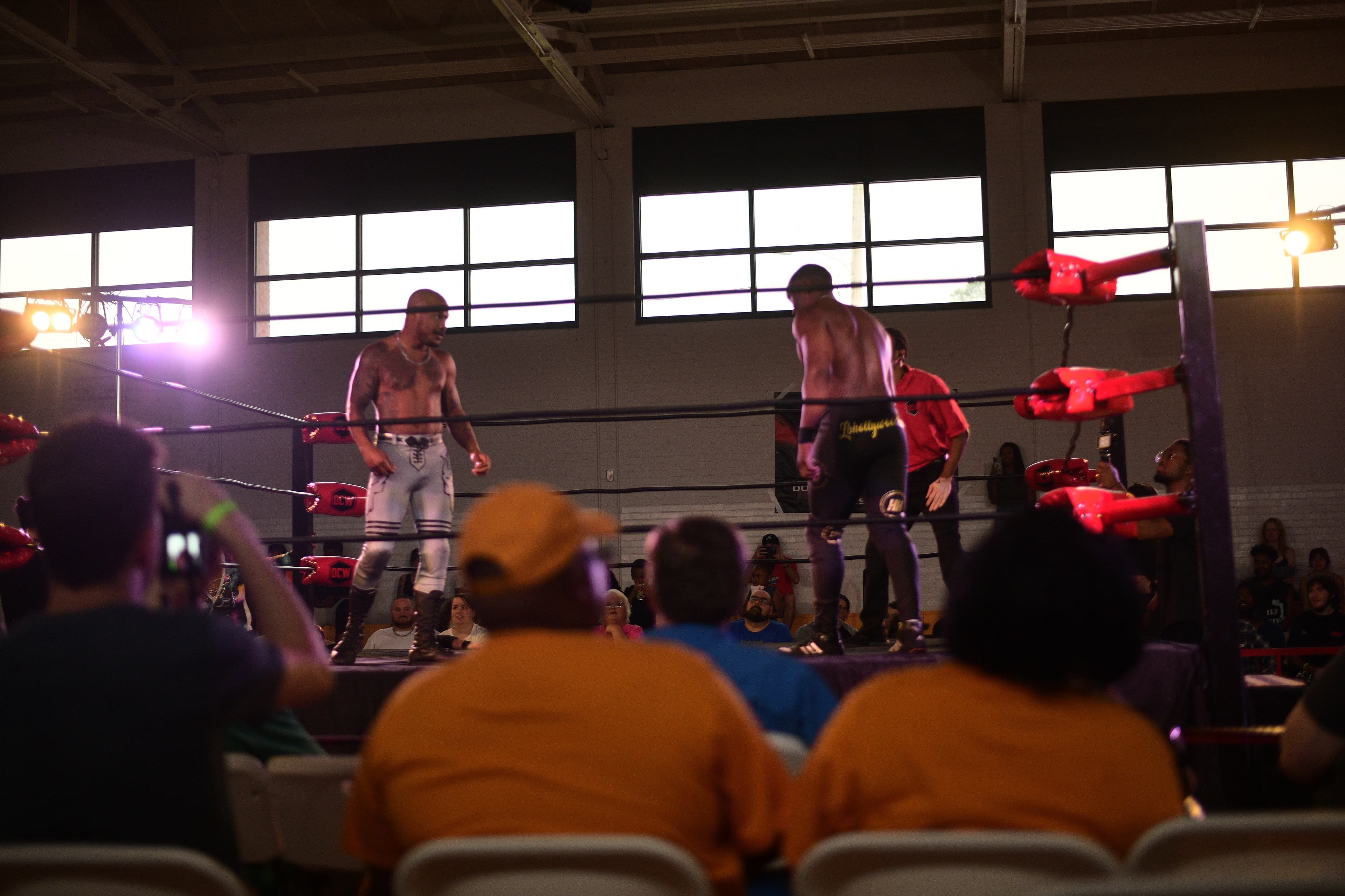 Main image of Dominant Championship Wrestling