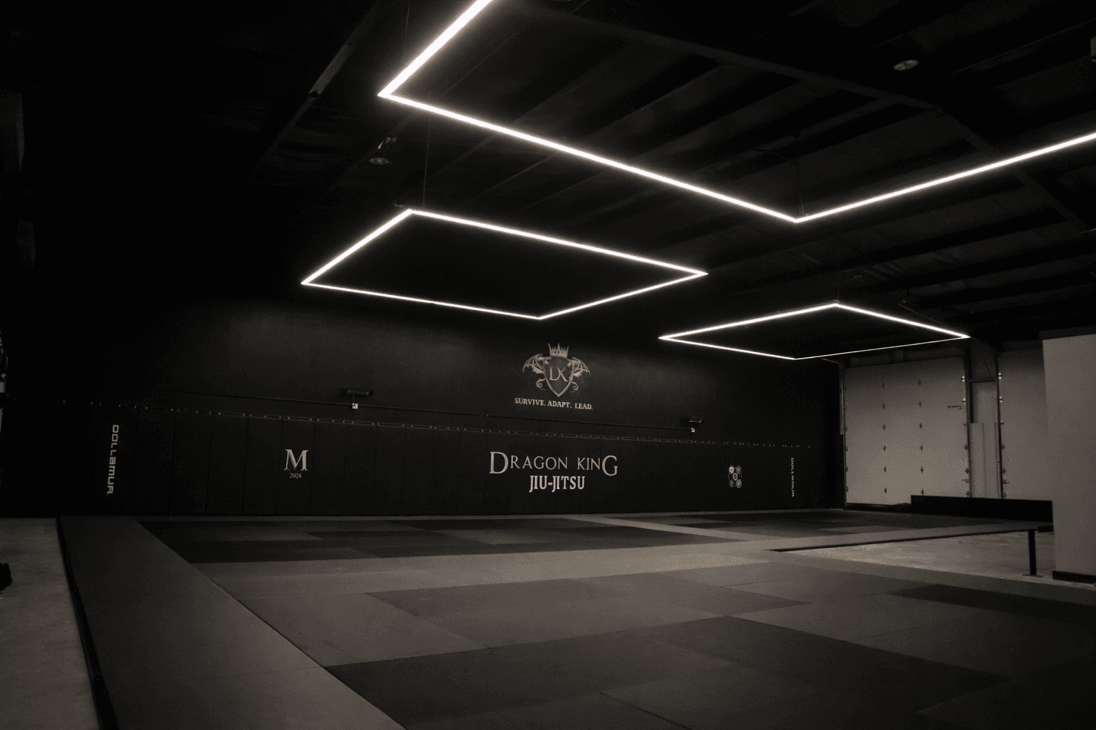 Main image of Dragon King Jiu-Jitsu