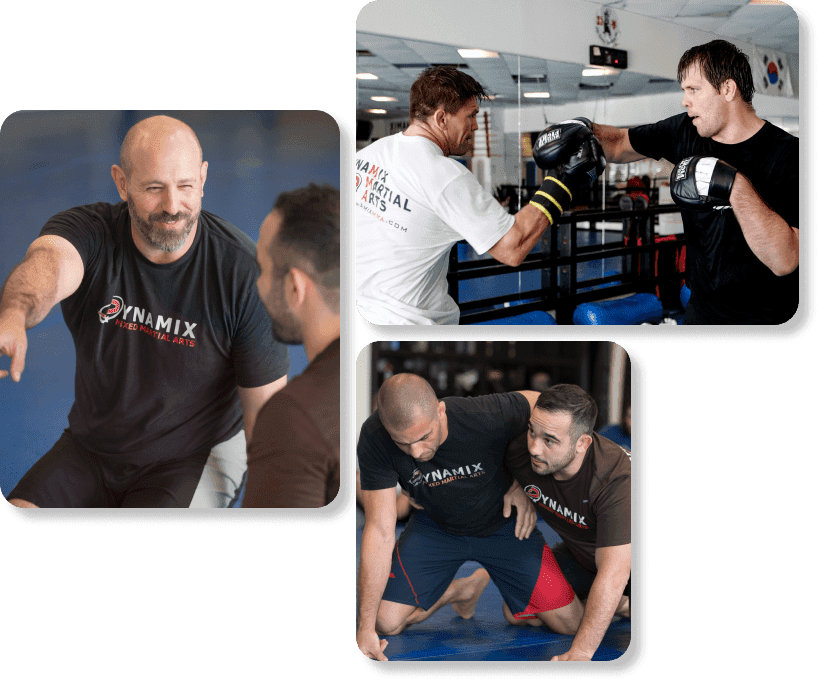 Main image of Dynamix MMA