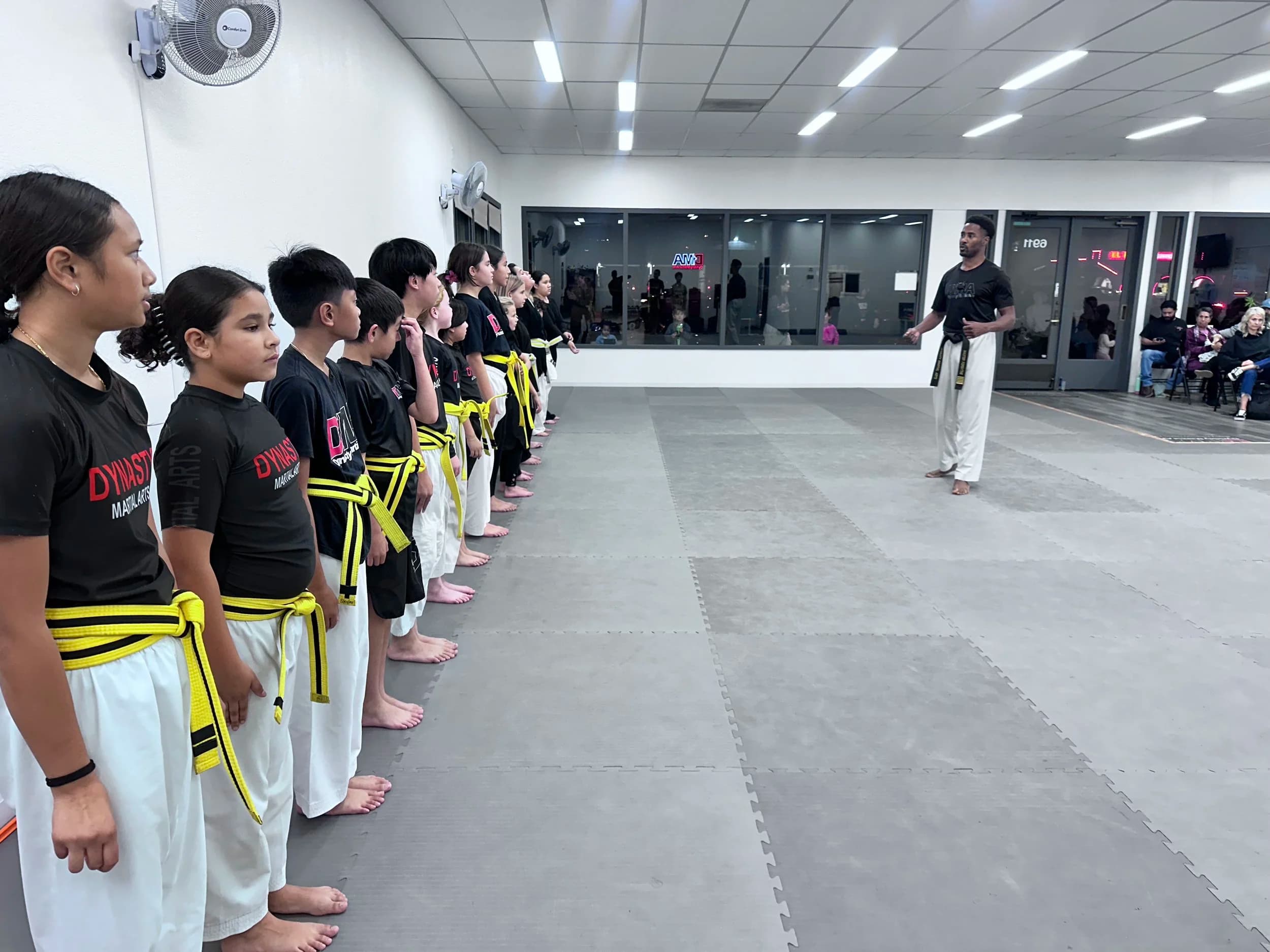 Dynasty Martial Arts logo