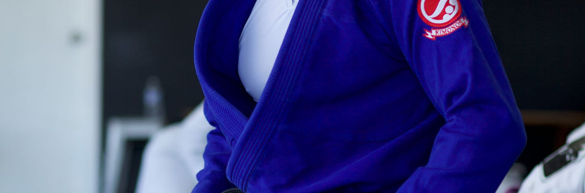 Main image of Electric Jiu Jitsu