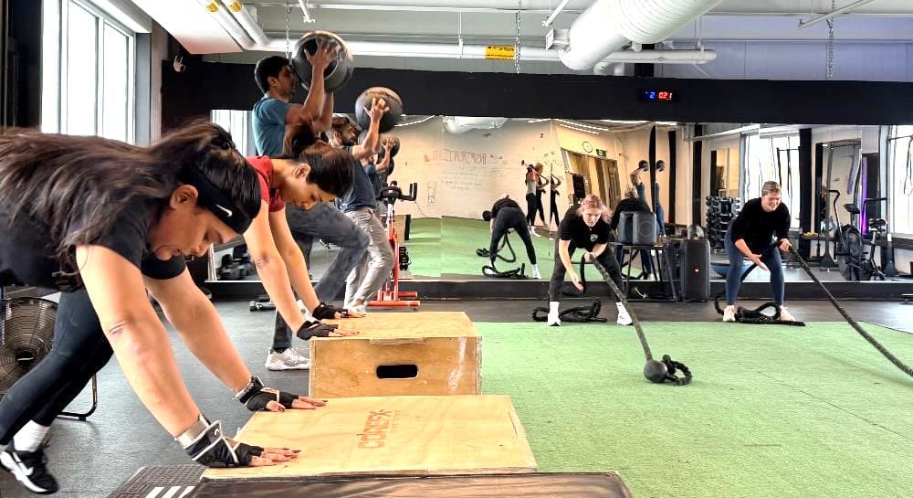 Main image of Elite Boxing & Fitness