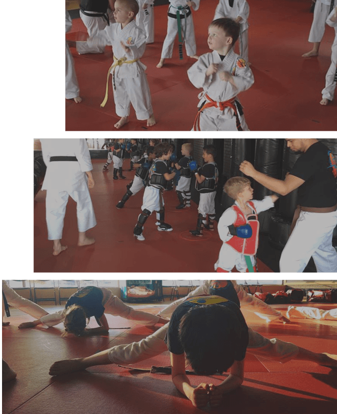 Main image of Elite Karate and Kickboxing Academy