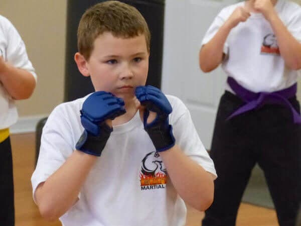 Main image of Elite Martial Arts