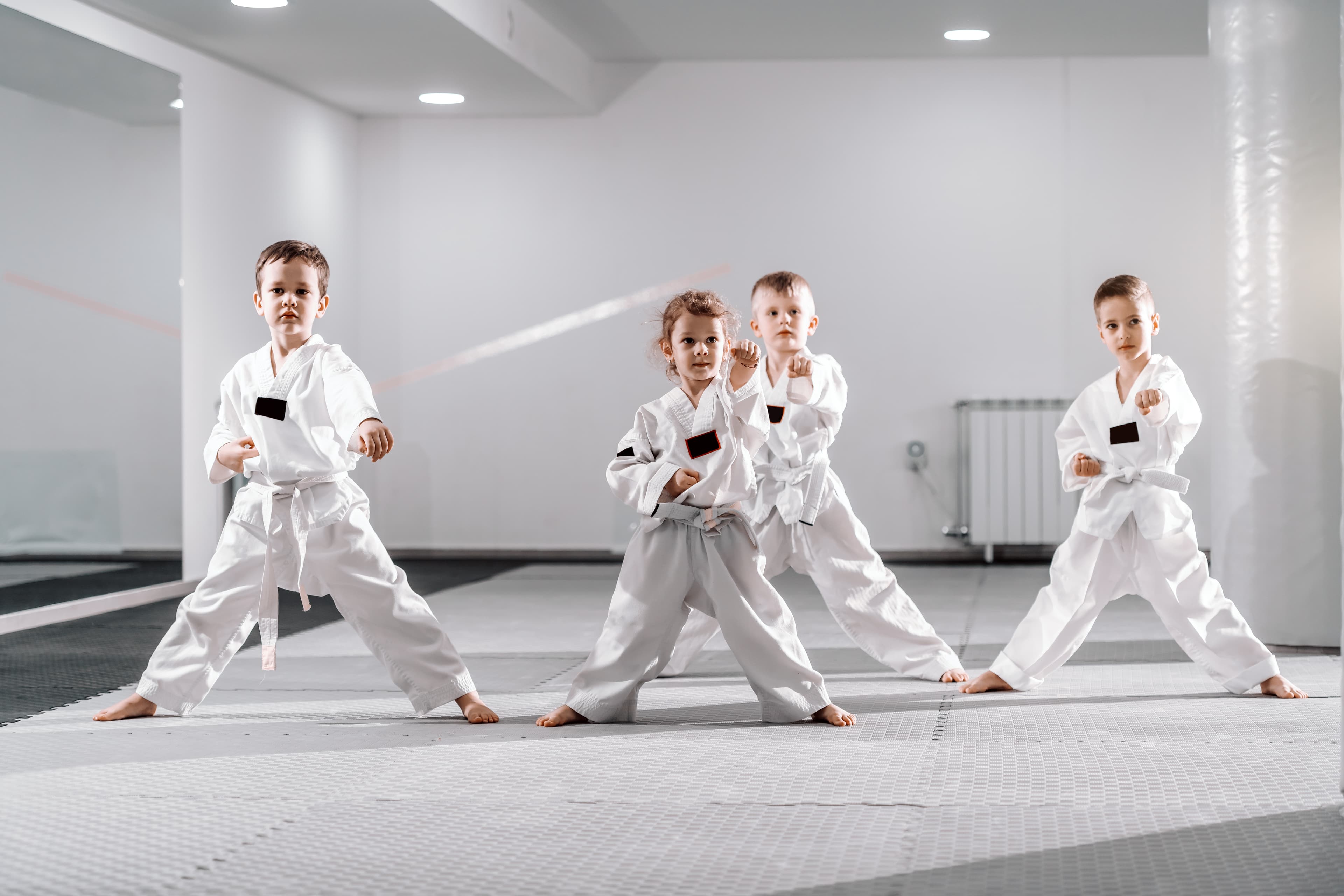 Main image of ELITE TAEKWONDO CENTER - Norcal Teamelite USA Poomsae Team Training Center