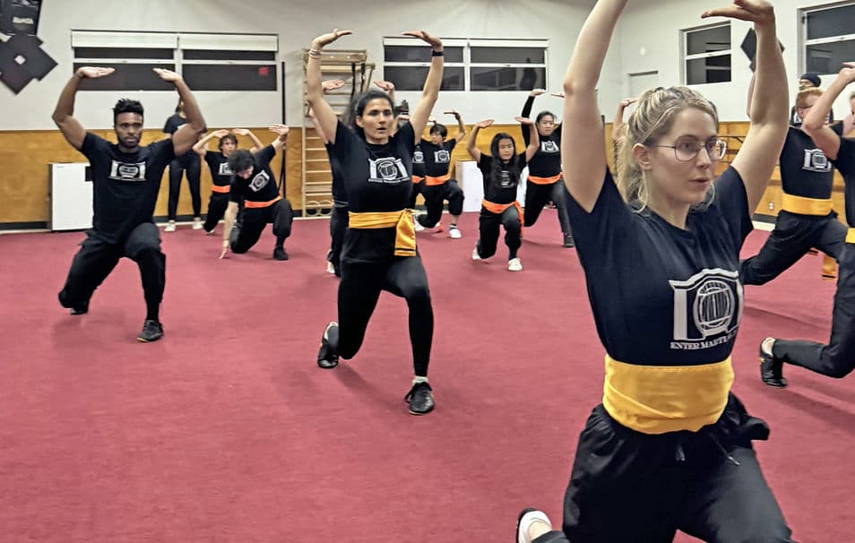Main image of Enter Martial Arts