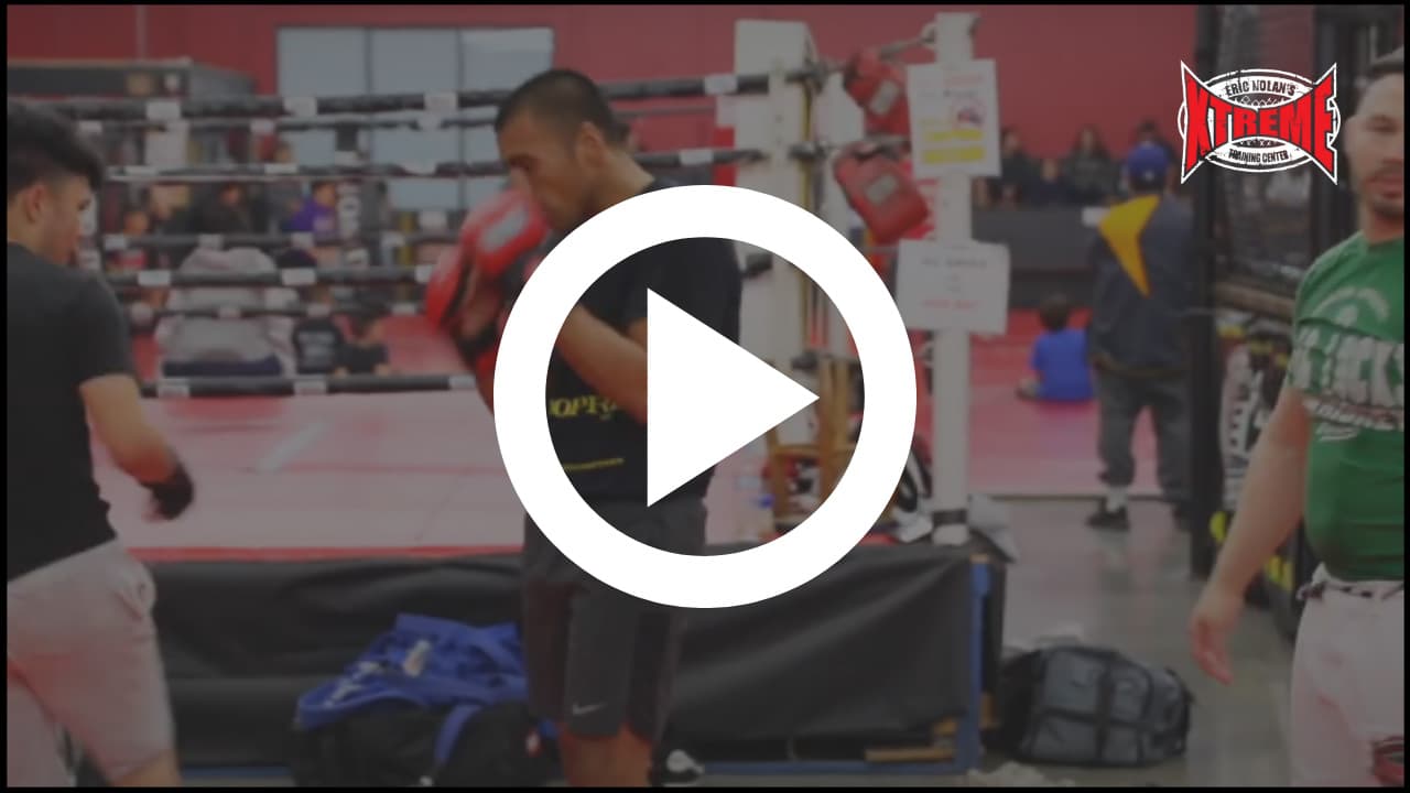 Eric Nolan's Xtreme Training Center logo