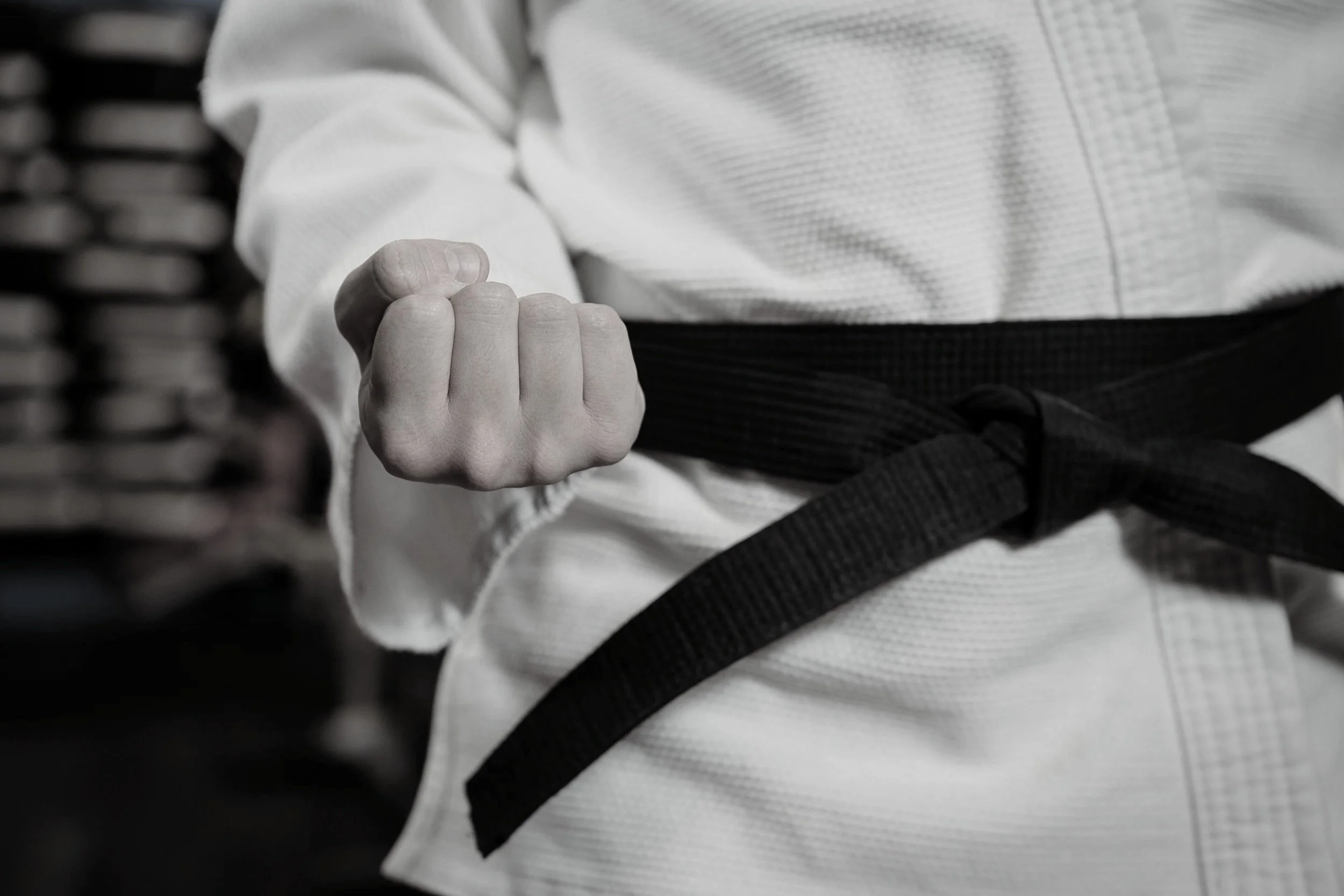 Main image of Evolution Academy of Martial Arts