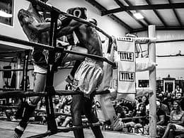 Main image of Evolution Muay Thai Martial Science
