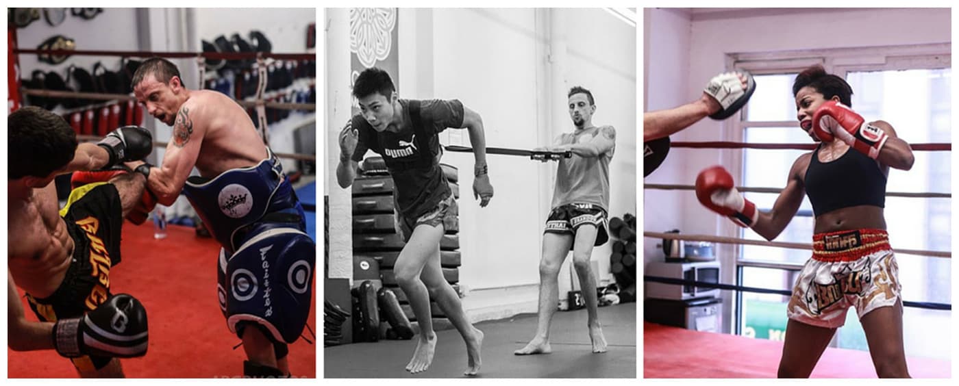 Main image of Evolution Muay Thai