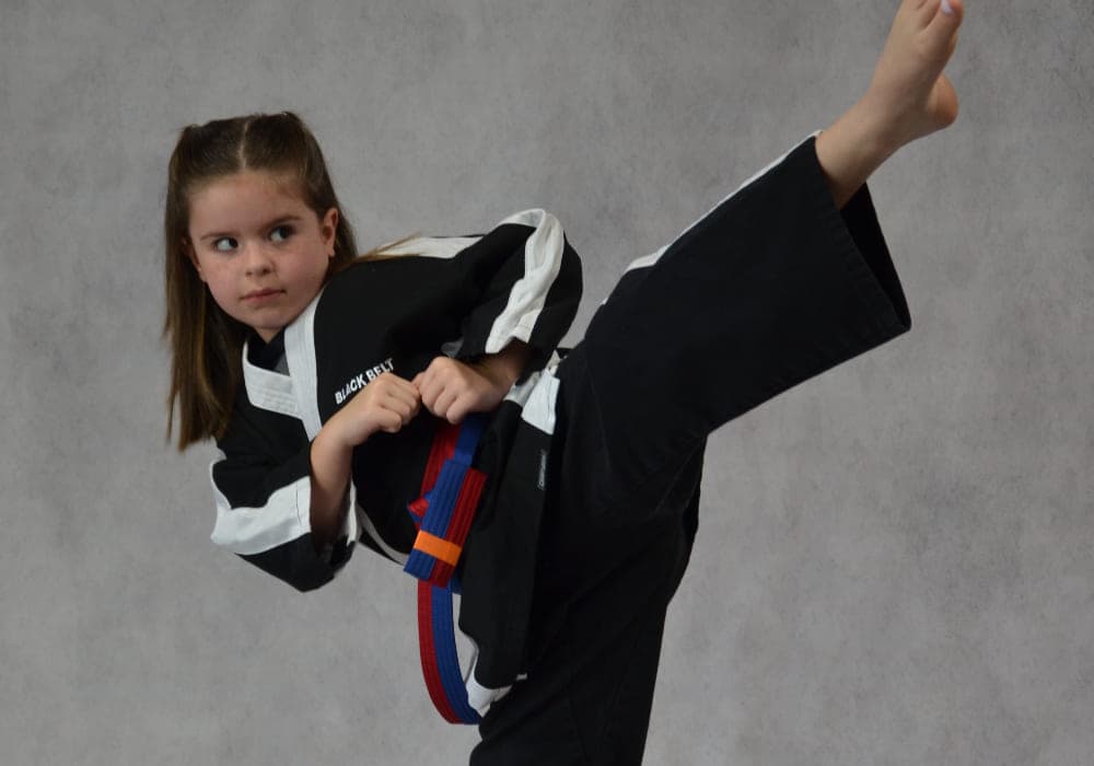 Main image of Family Kicks Championship Martial Arts