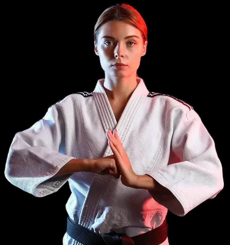 Main image of Fighting Phoenix Martial Arts Academy