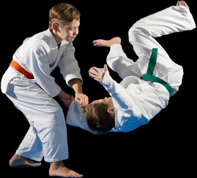 Fighting Phoenix Martial Arts Academy logo