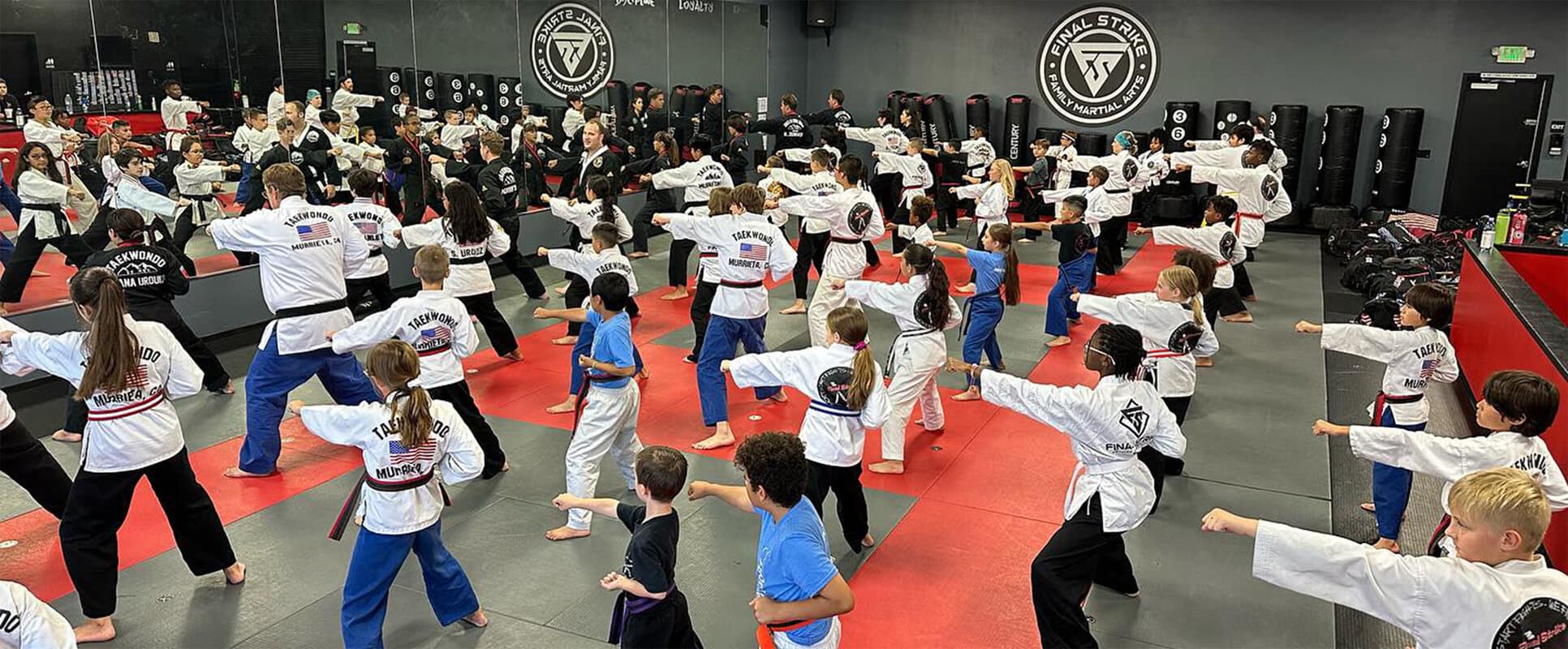 Main image of Final Strike Martial Arts Anaheim Hills