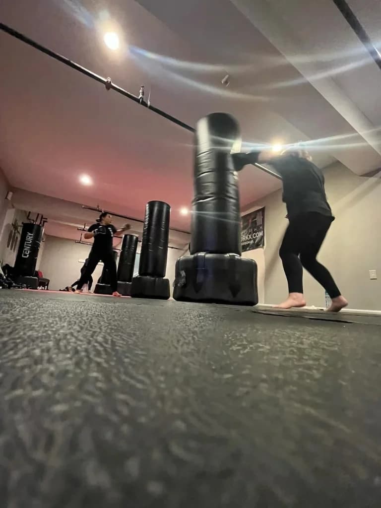 Main image of Fit Body Workx