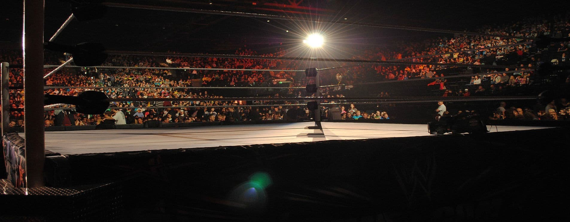 Main image of Flatbacks Wrestling School