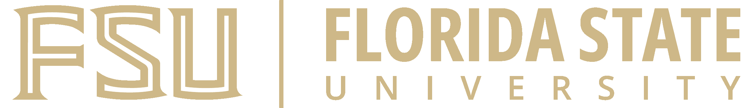 Main image of FSU JIU JITSU CLUB