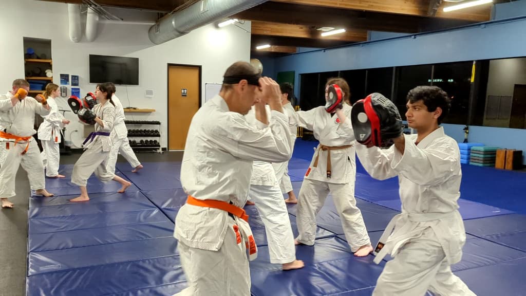 Full Potential Martial Arts Academy logo