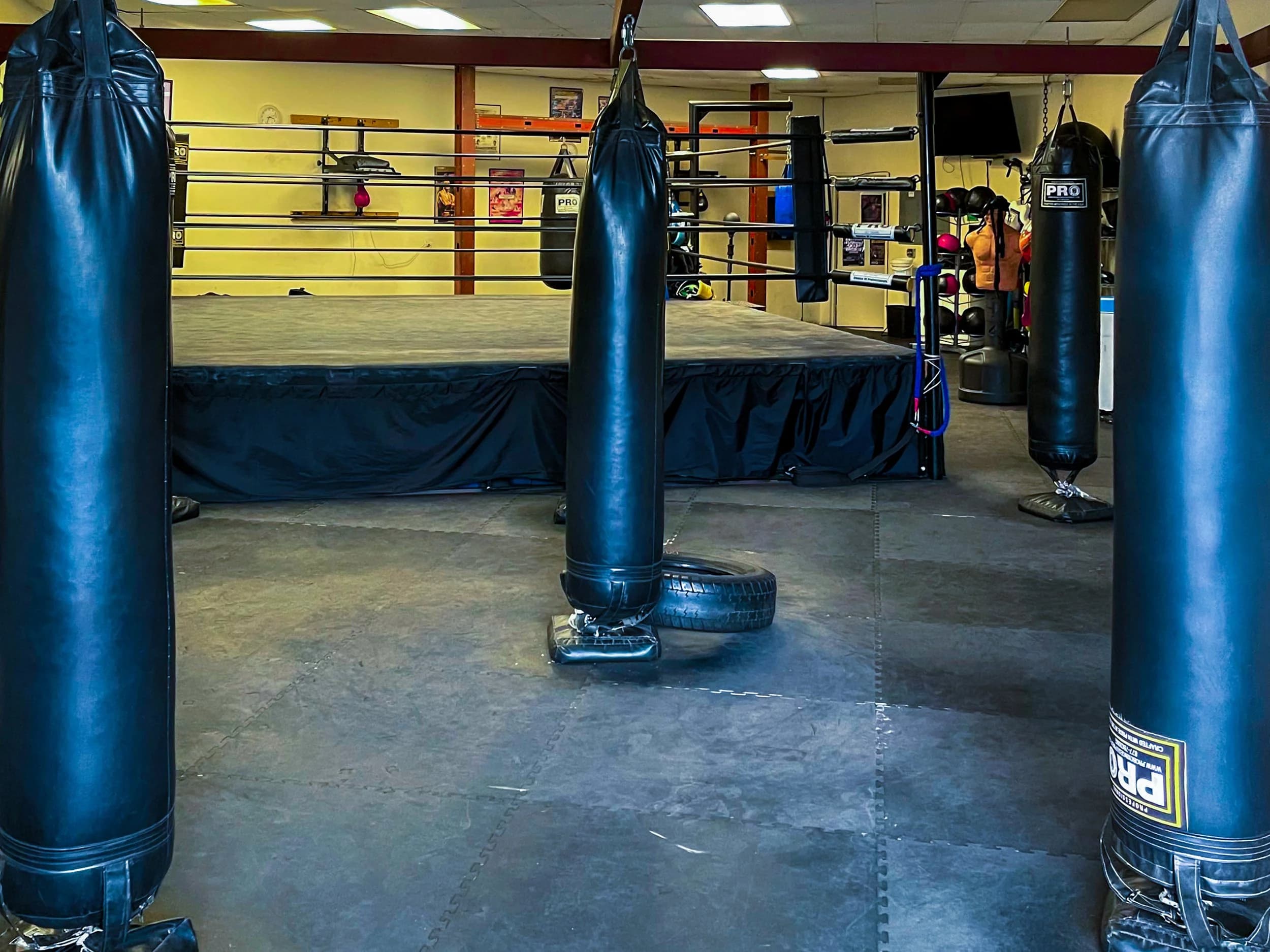 Gaucho's Boxing Club logo