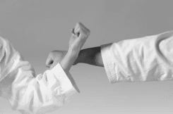 Main image of Genbu-Kai Riverside Shito-Ryu Karate-Do operated by RKAF