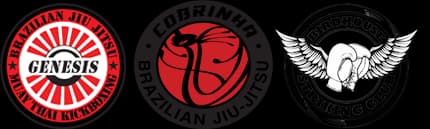 Genesis Martial Arts and Fitness logo