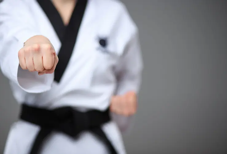 Main image of GoGoole TaeKwonDo