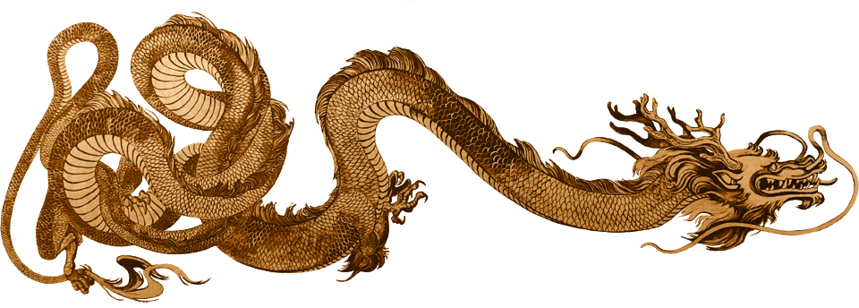 Golden Dragon Martial Arts Club logo