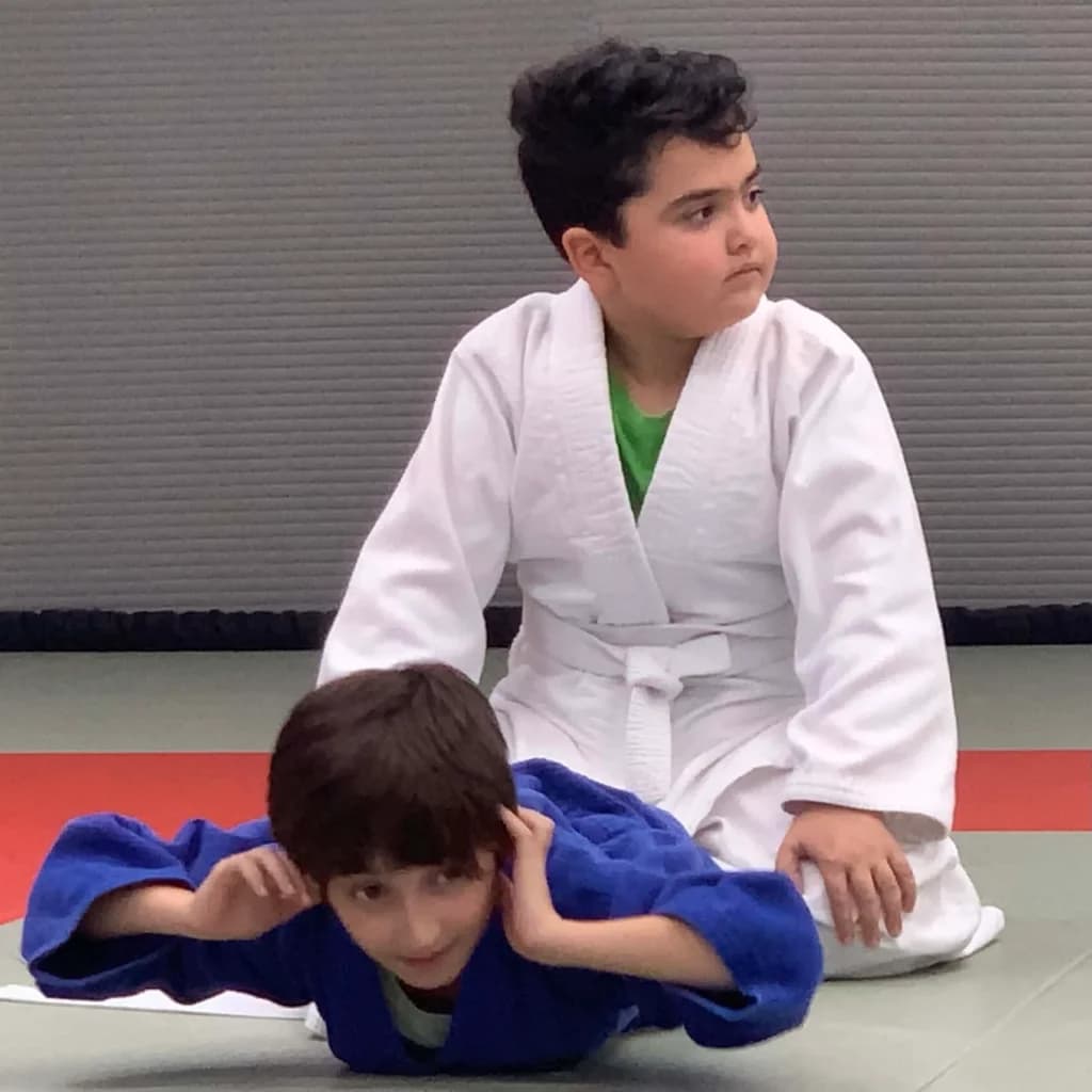 GREEN DOJO Judo School logo